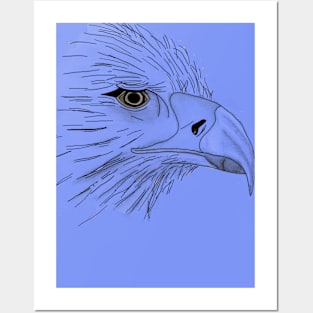 Eagle Posters and Art